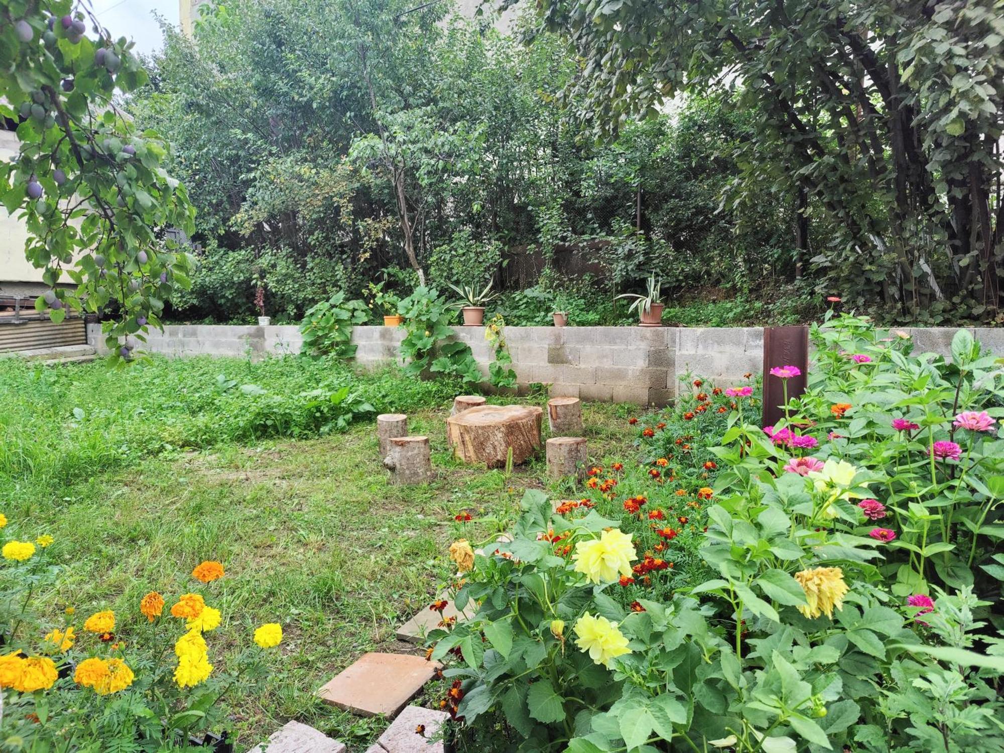 Sunny Lodge Dilidżan Zewnętrze zdjęcie